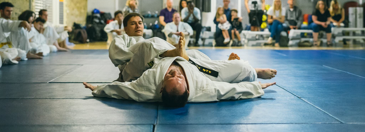 Hapkido ground technique